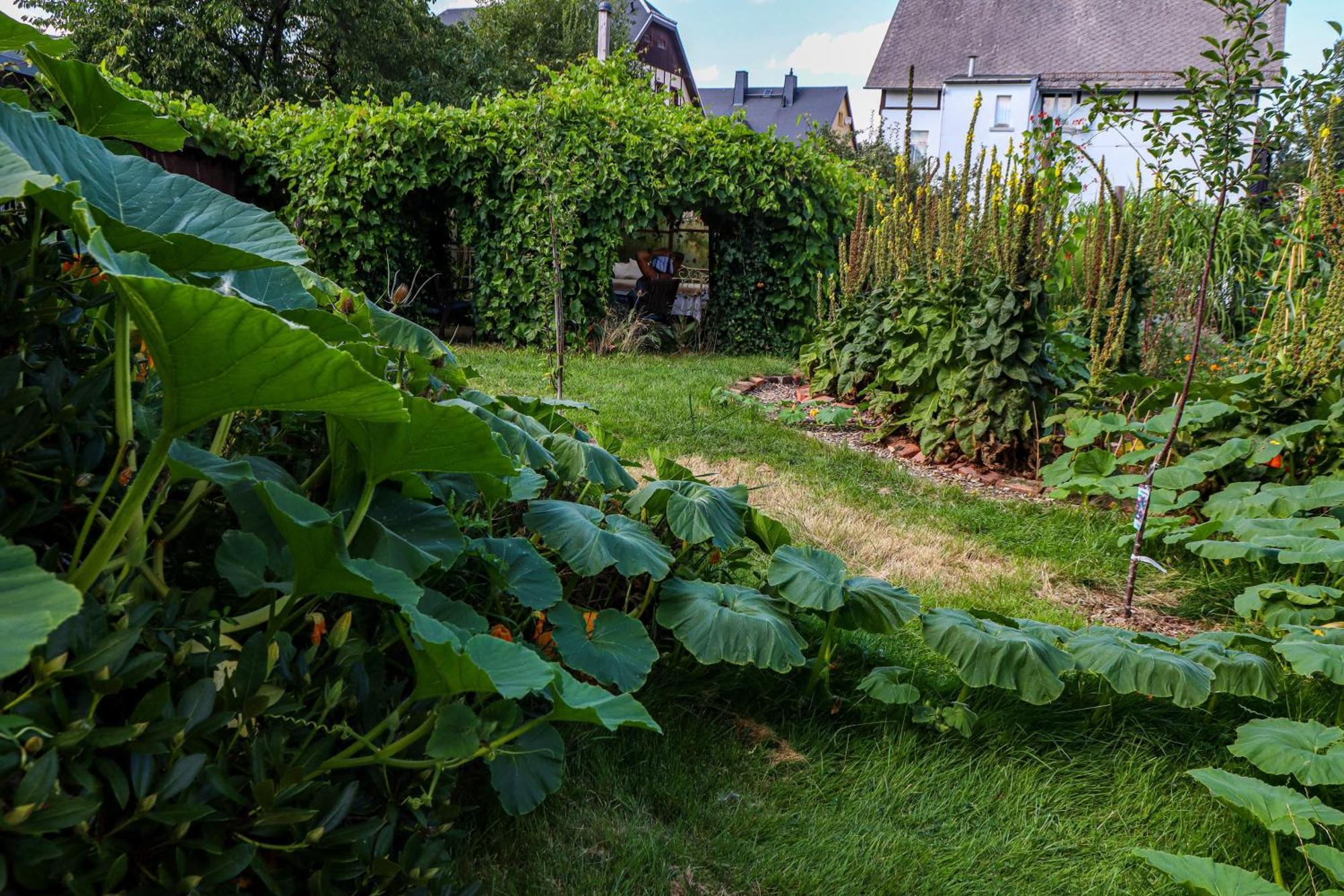 Yvette'S Ferienwohnung Lugau Exteriör bild