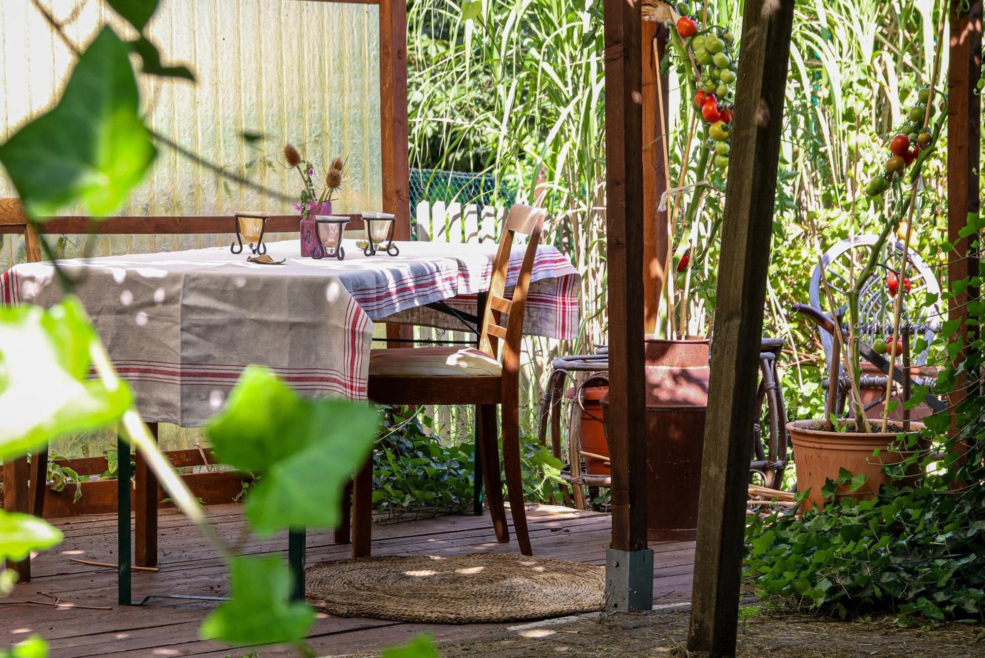 Yvette'S Ferienwohnung Lugau Exteriör bild